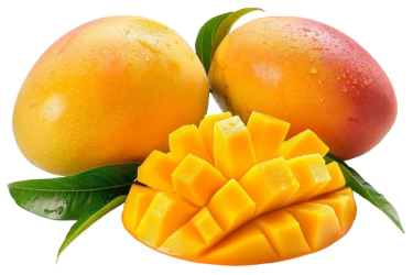 mango-still-life-removebg-preview mango-still-life-removebg-preview